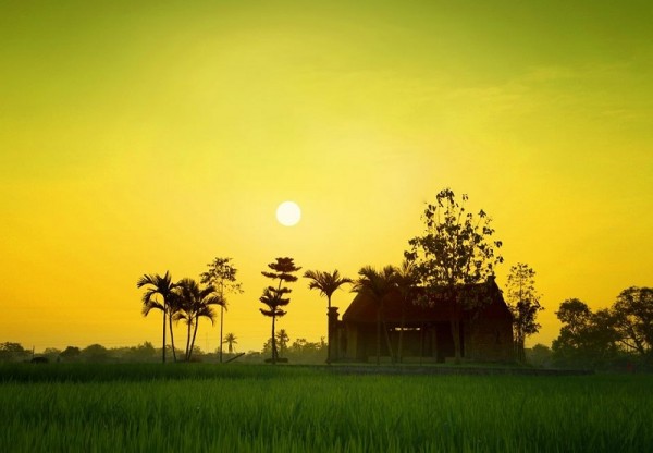 Mekong Delta Adventure Sunset Tour Private Day Trip